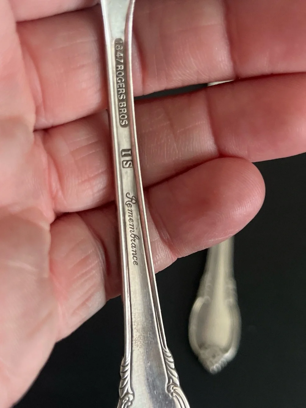 Silver-Color Ornate Serving Spoon and Spreader Set